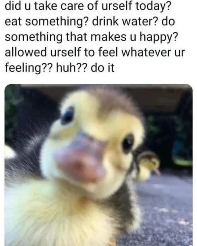 WholesomeMemes (@wholesomememe) on Twitter photo 