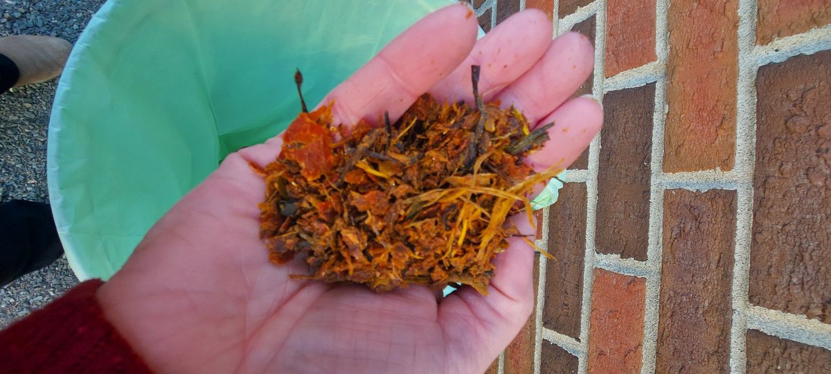 Tracey Bombard tweet media