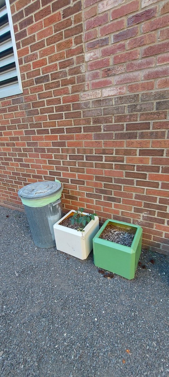 Tracey Bombard tweet media