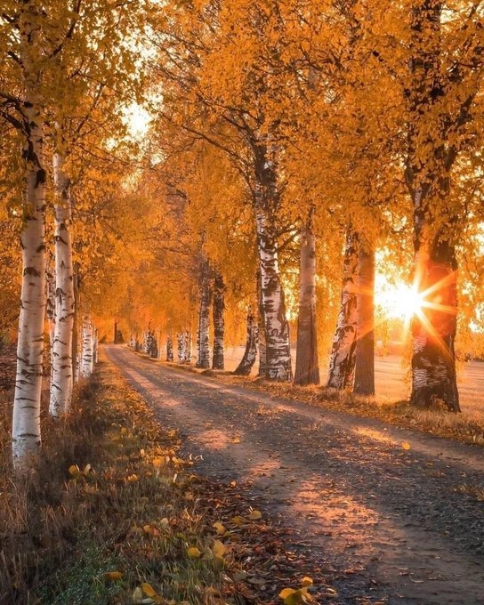 natureandworld's tweet photo. good morning 
#nature #NaturePhotography #NatureBeauty #viralvideo #naturelovers https://t.co/E3HqFSdhPv