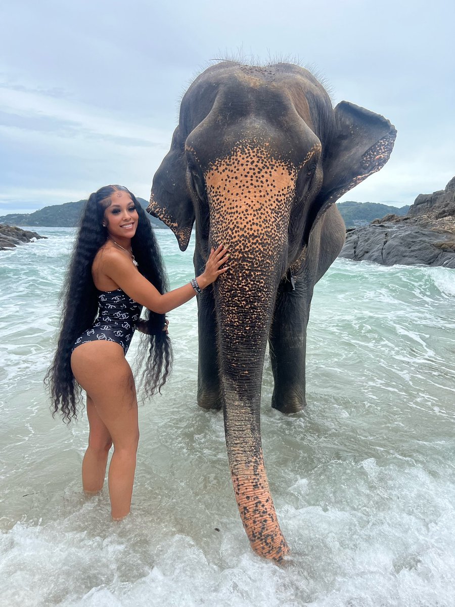 therealmthanggg's tweet photo. Life lately 🐘🌎✨ https://t.co/oo5HZeIJs8