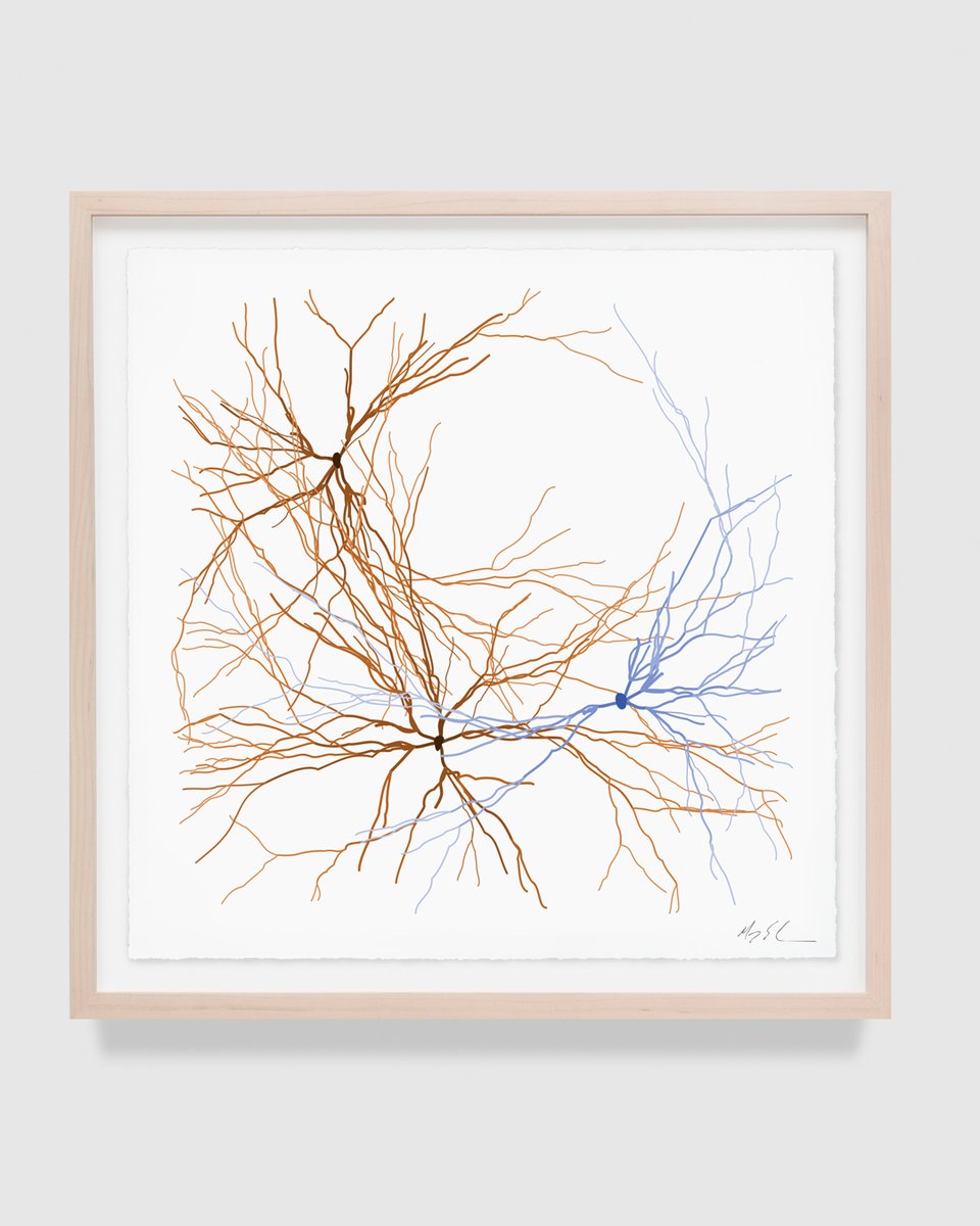 PaceGallery's tweet photo. Browse curated selections of #MayaLin’s Ghost Forest Seedlings prints based on their various formal and thematic qualities: Season, Mood, Sensibility, and more: https://t.co/DETnr8XikB https://t.co/hIIBsl5Z63