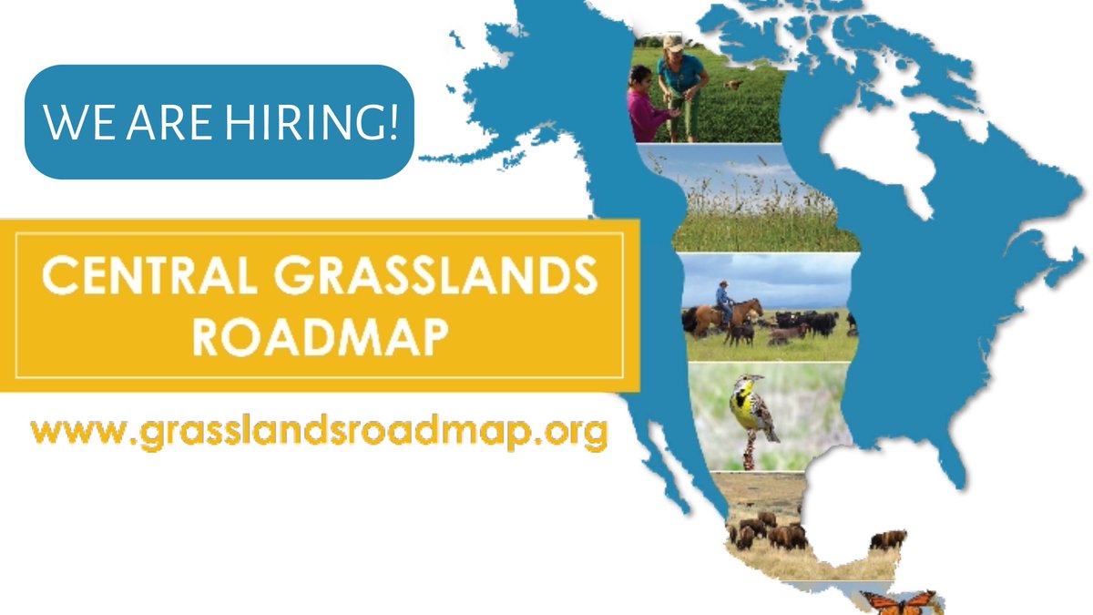 Unique Job Opportunity

We are hiring a Central Grassland Roadmap Director to continue the energy and momentum from the Central Grassland Roadmap Initiative (CGRI) and to help ensure healthy grasslands for the future. 

birdconservancy.org/jobs