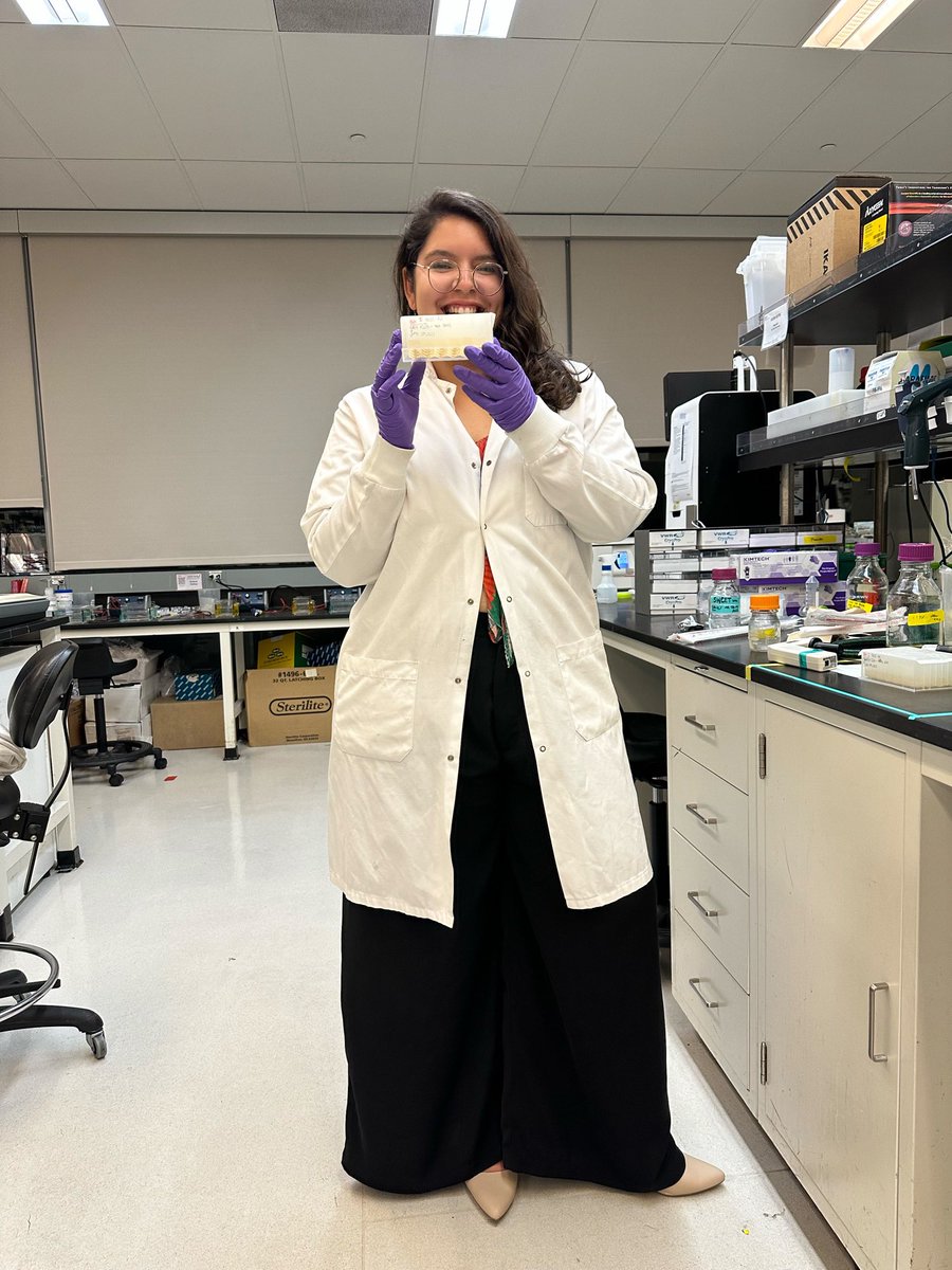 synbiomaria's tweet photo. Scaling up (bio)tech from petri dish scale to > microplates > flasks > bioreactors! 2mL, 20mL, 200mL, 2L, 10L… what’s next? 🙌 So excited to share our microbial factory growing a molecule that is essential for vaccine dev. Can’t wait!! Out soon from the @Keasling_Lab 🌎🌱 https://t.co/zzic7HS8kA