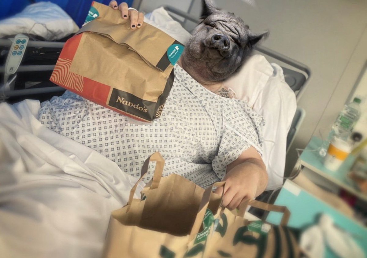 🅷🅾🅻🆈 🅶🆁🅰🅸🅻🅾 tweet media