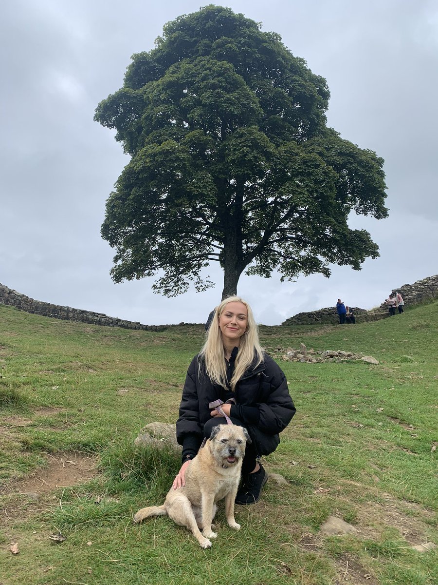 One of the most picturesque sights in the North East. Sickening #SycamoreGap