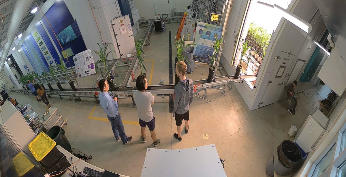 Purdue Plant Science tweet media