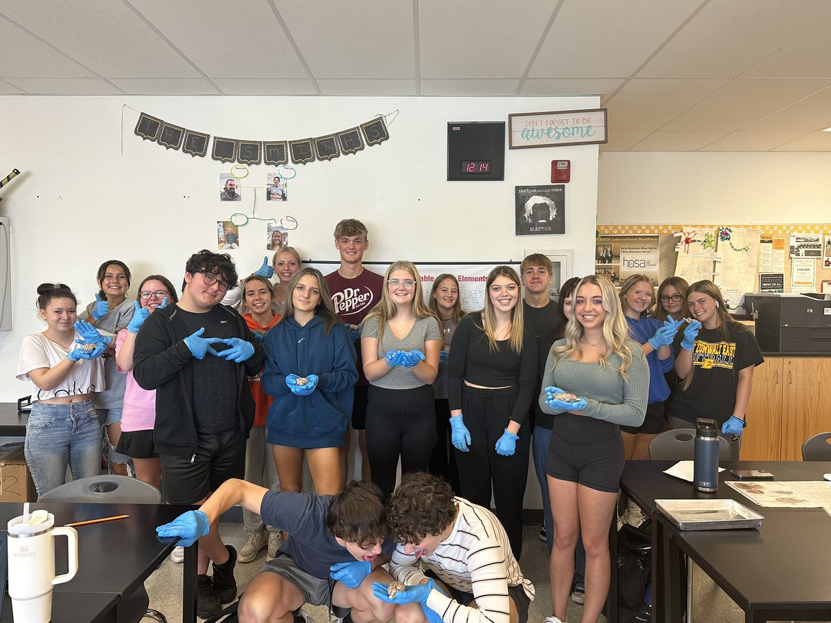 Human Body Systems Sheep Brain Dissection day! 🐑🧠