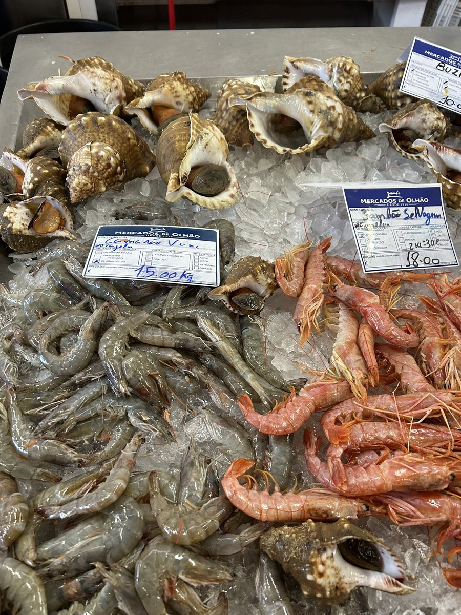 Fabulous first day on our experimental marine biology fieldcourse part 1 - getting acquainted to our new surroundings - Ria Formosa park HQ and Olhao fish market <a href="/benciotti/">Ben Ciotti</a> <a href="/ReubenShipway/">Reuben Shipway</a> @mcollins_2 @Giulia_LaBianca <a href="/MBERC_PlymUni/">MBERC</a> <a href="/PlymUni/">University of Plymouth</a> @plymouthbiol