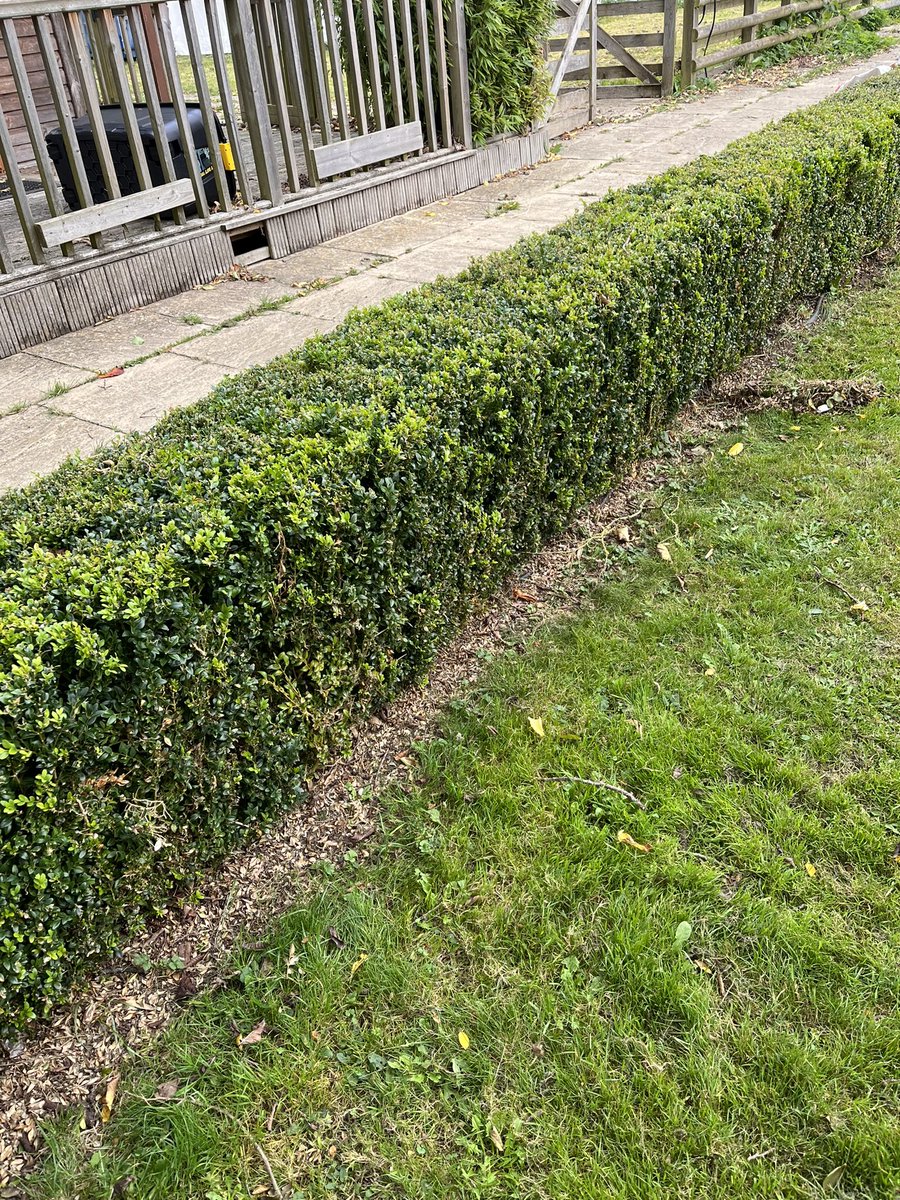 DH_Maintenance's tweet photo. Another #productiveday first thing some #cuttingback &amp; #tidying before our weekly visit for this one - #vhagar was installed yesterday so we tidied the box beds &amp; redistributed #topsoil around the #box #hedges 👍 https://t.co/PBIUC0buEg