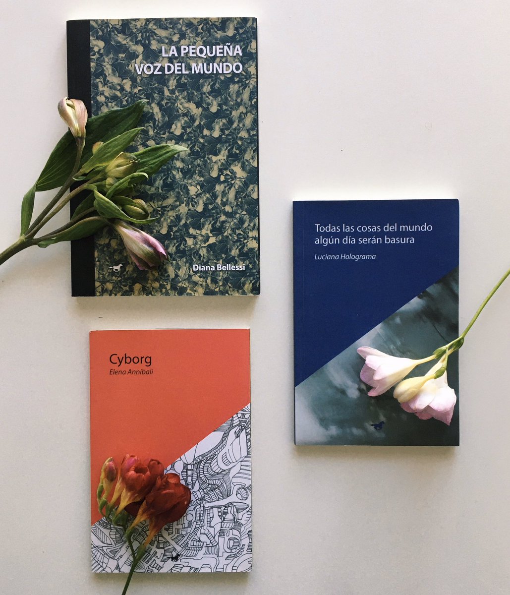 caballonegroeditora tweet media