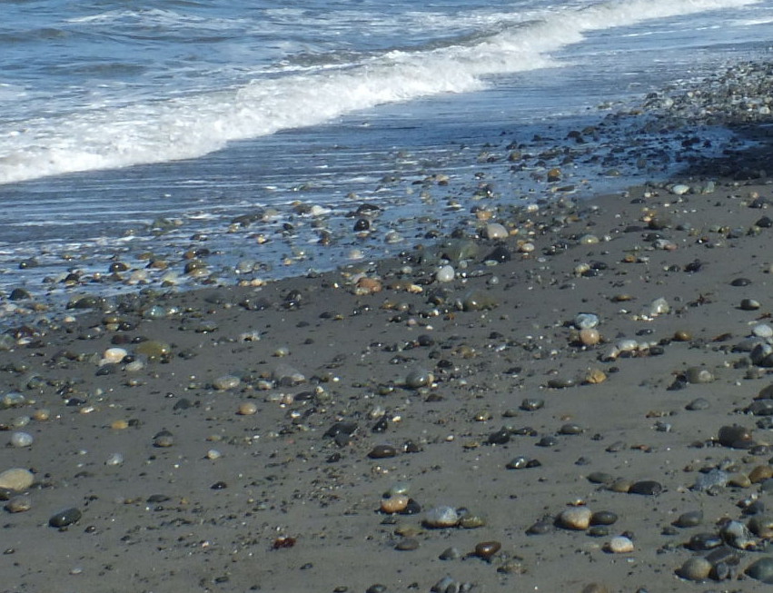 Peter Messerschmidt tweet media