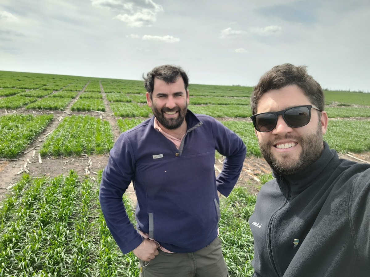 JonatanMauro1's tweet photo. 📢Puesta a punto, recorrida de ensayos e identificación de enfermedades. Esta vez por Tres Arroyos y ya con una alta incidencia de #RotaAmarilla 🌾 #SeguirMonitoreando
#EnelcampoconSyngenta https://t.co/w2ohGZcsne