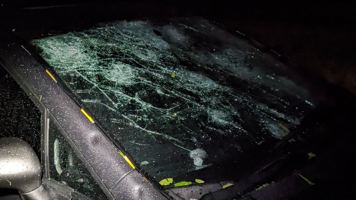 Syng_Stripetail's tweet photo. I finally get a settlement for a vehicle after 6 months of fighting insurance, and Texas let me drive it just shy of four weeks before it sent a hailstorm and demolished it with tennis ball-sized ice. https://t.co/bxR1eMSSxr