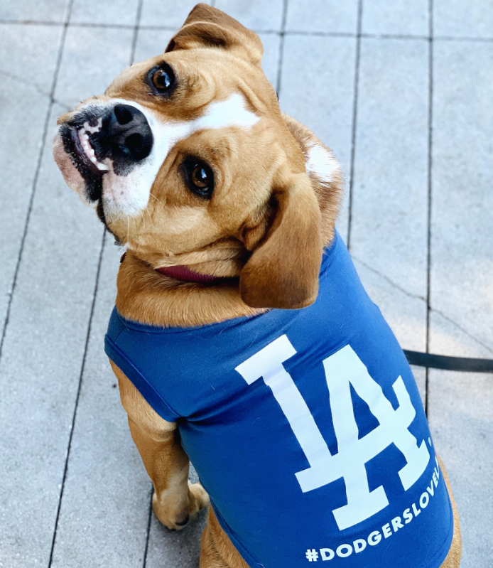 Dogs4drivers's tweet photo. @Waymo robotaxis coming to my neck of the woods next month? Nice. No driver, nobody to stop me from peeing on the wheels. Welcome to LA, ya dirtbags.
- Boomer, Lincoln Heights https://t.co/4kEc0SxiW2
