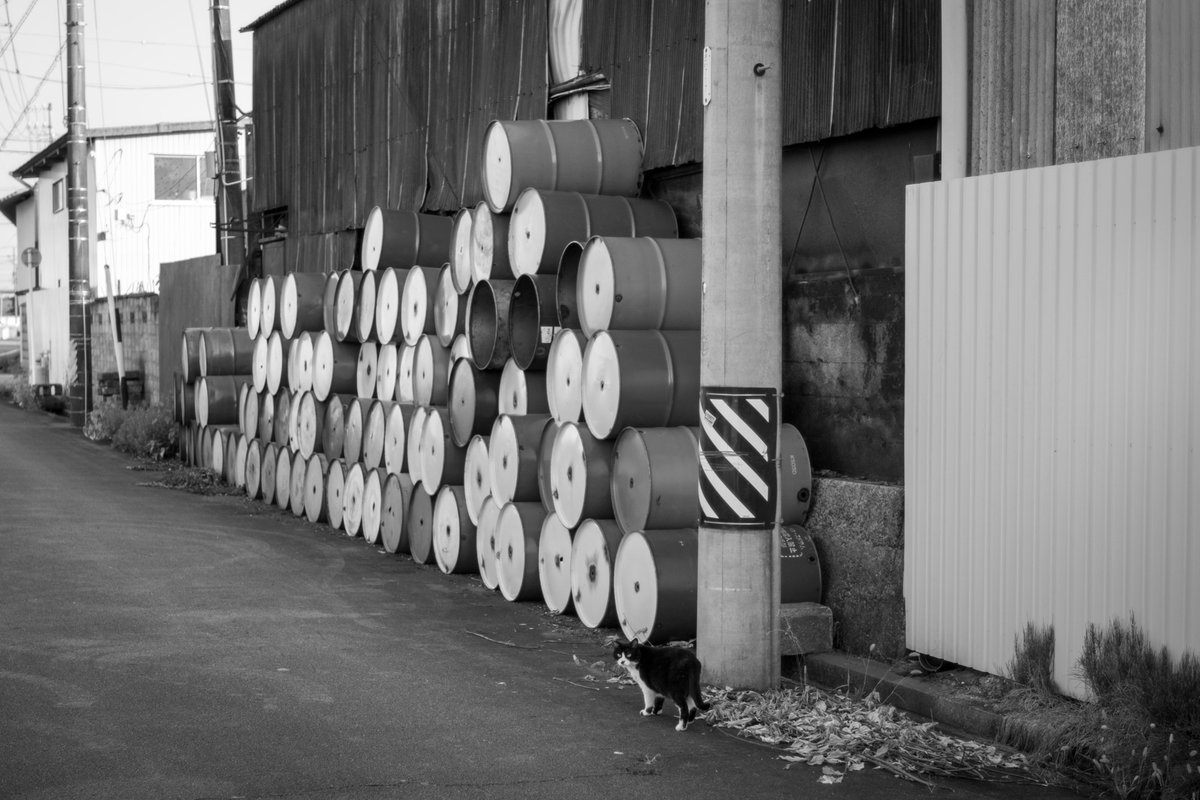 almightygenera1's tweet image. 