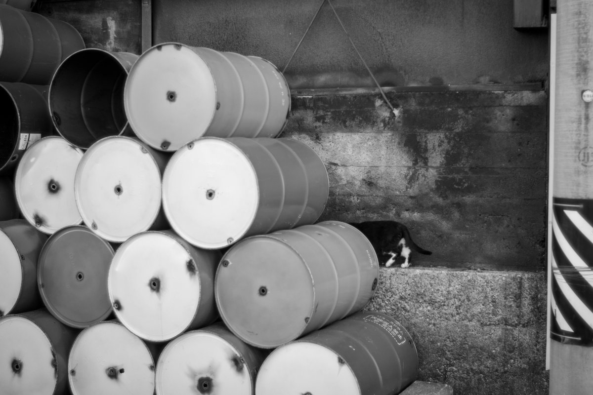 almightygenera1's tweet image. 