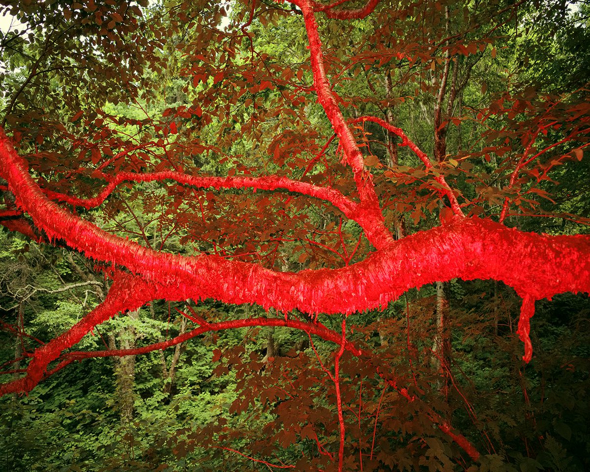 Benoit Paillé tweet media