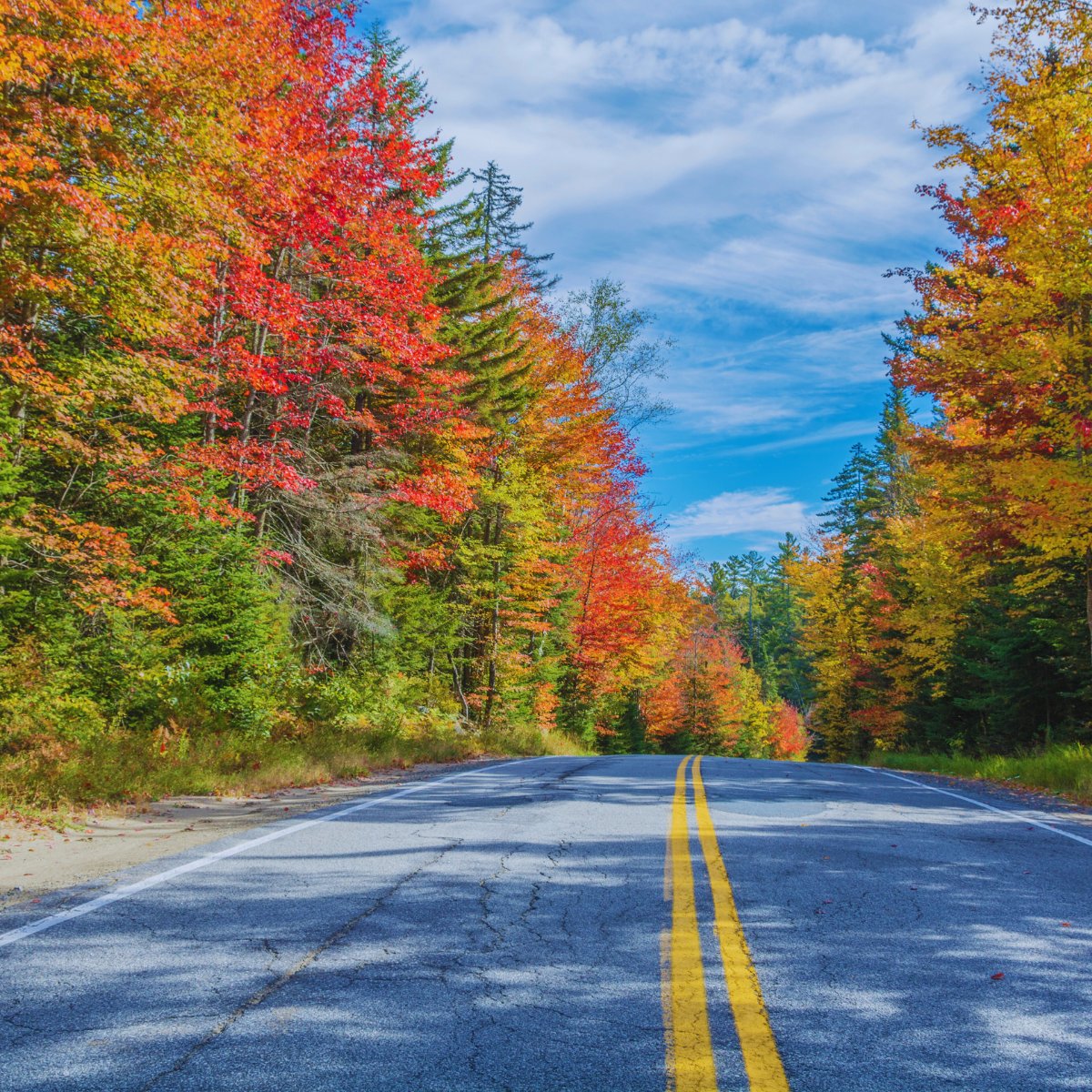 eco_loves's tweet photo. Who else feels like Fall is a new beginning? Fresh air, fresh leaves. I will never get enough of this scenery 🍂 https://t.co/NbVnpovbFO