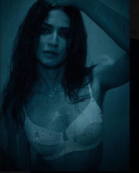 SadiaDisha2's tweet photo. #KritiKharbanda looks smokin' hot in her latest shot #abhira  #RanbirKapoor #ShivangiJoshi #Harshali #AnimalTeaser #AnimalTeaser https://t.co/isdXuOwwLY