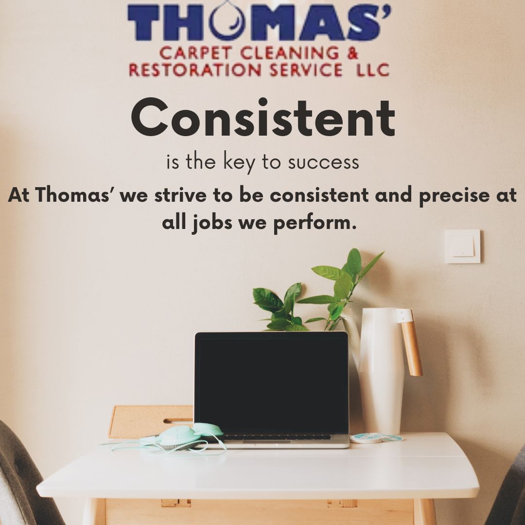 Thomas (@thomascarpet) on Twitter photo 