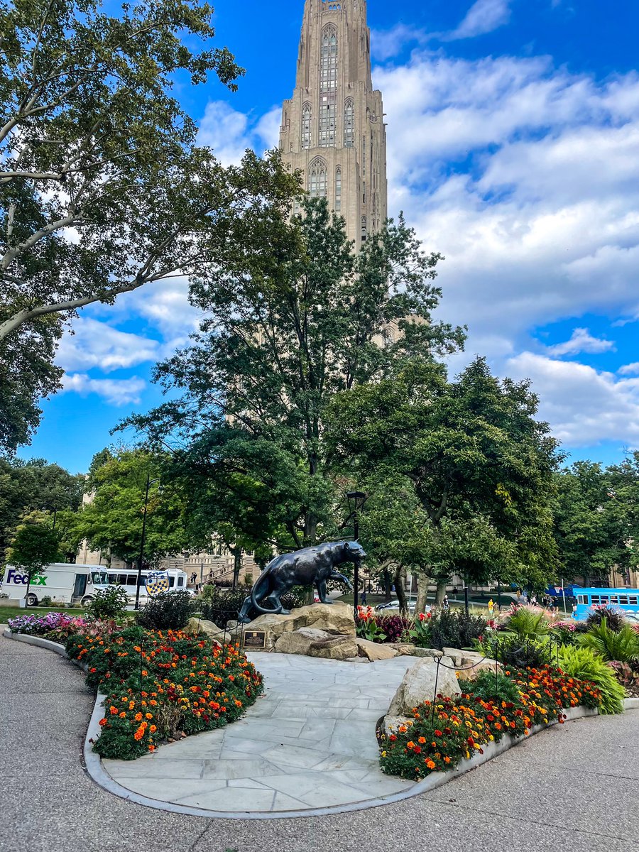 Pitt_ATHLETICS's tweet photo. Autumn in Oakland 🍃 🍂 https://t.co/x68iA6GuRG