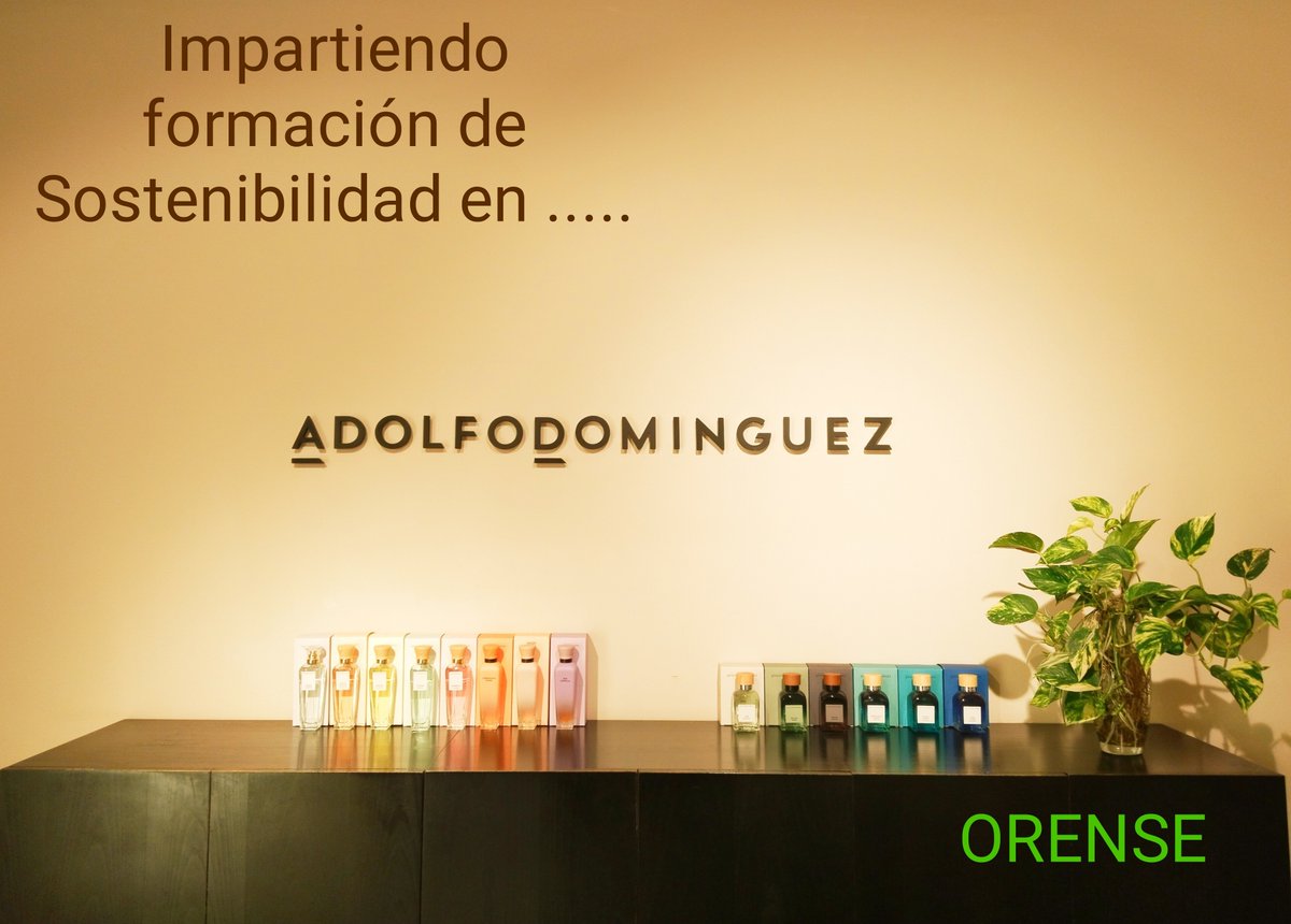Fantástico día de formación en la gran firma de moda Española "𝗔𝗱𝗼𝗹𝗳𝗼 𝗗𝗼𝗺í𝗻𝗴𝘂𝗲𝘇"
Intenso día formando al equipo de arquitectura sobre el desarrollo del diseño, construcción y explotación de las #𝗧𝗶𝗲𝗻𝗱𝗮𝘀𝗘𝗰𝗼𝗲𝗳𝗶𝗰𝗶𝗲𝗻𝘁𝗲𝘀.
#Sostenibilidad 
Ramón Prous