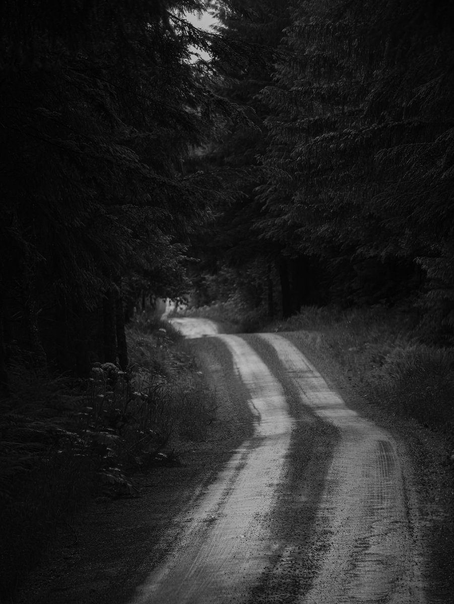 DailyStaley's tweet image. About the journey