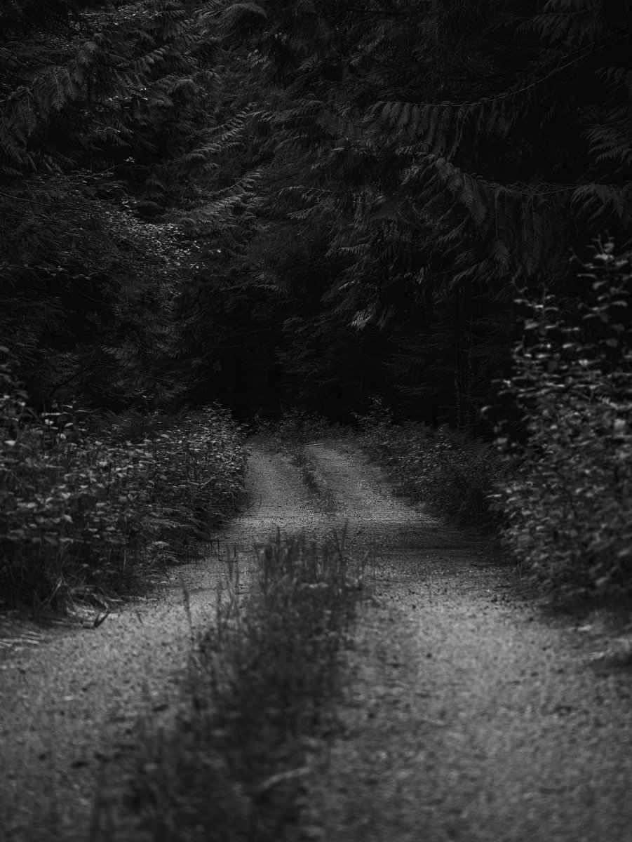 DailyStaley's tweet image. About the journey