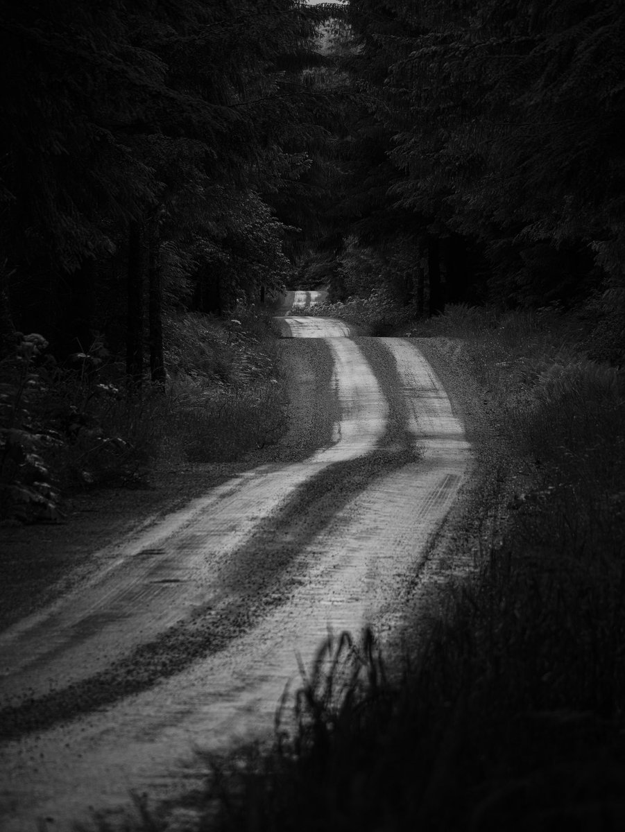 DailyStaley's tweet image. About the journey