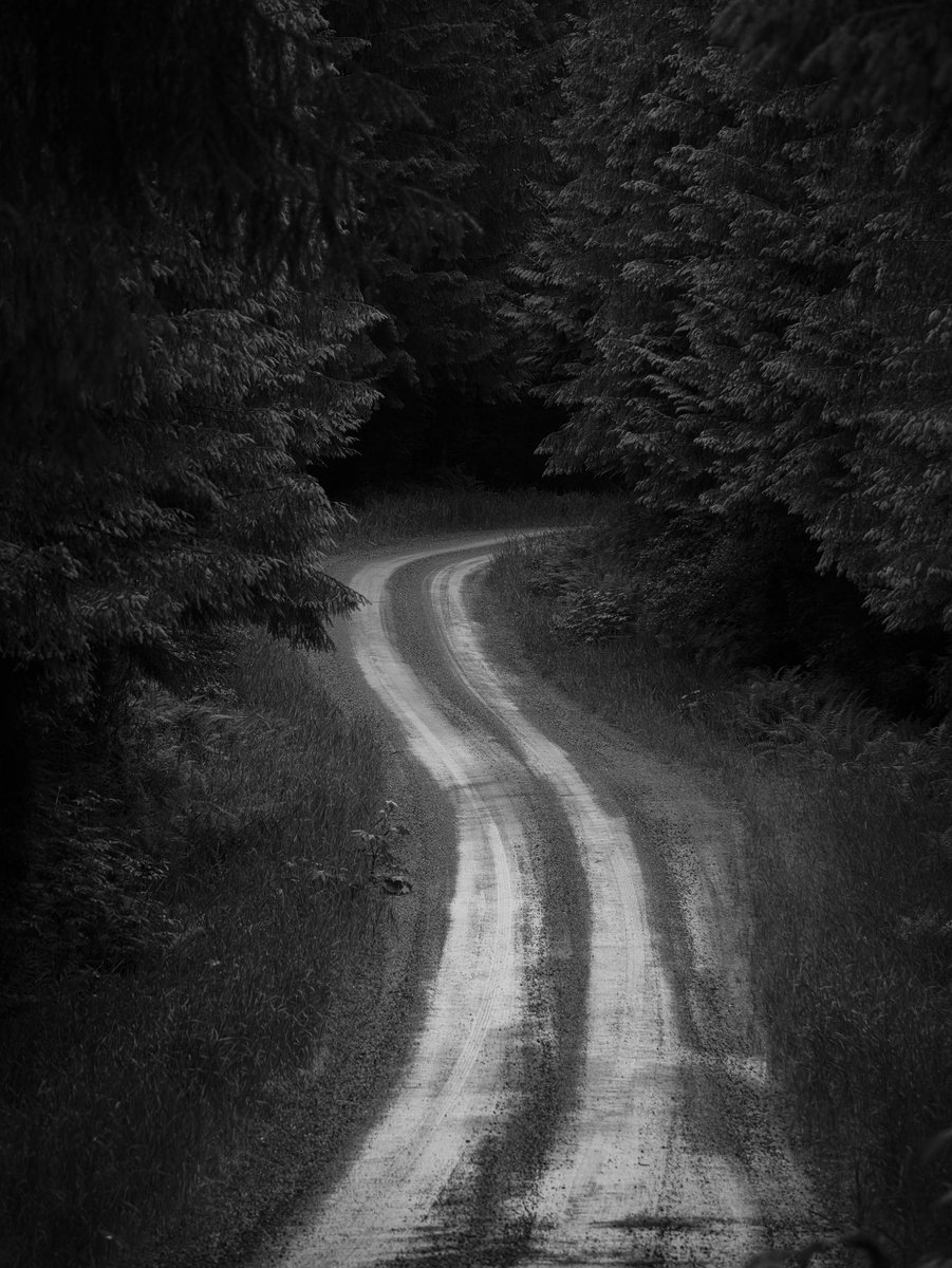 DailyStaley's tweet image. About the journey