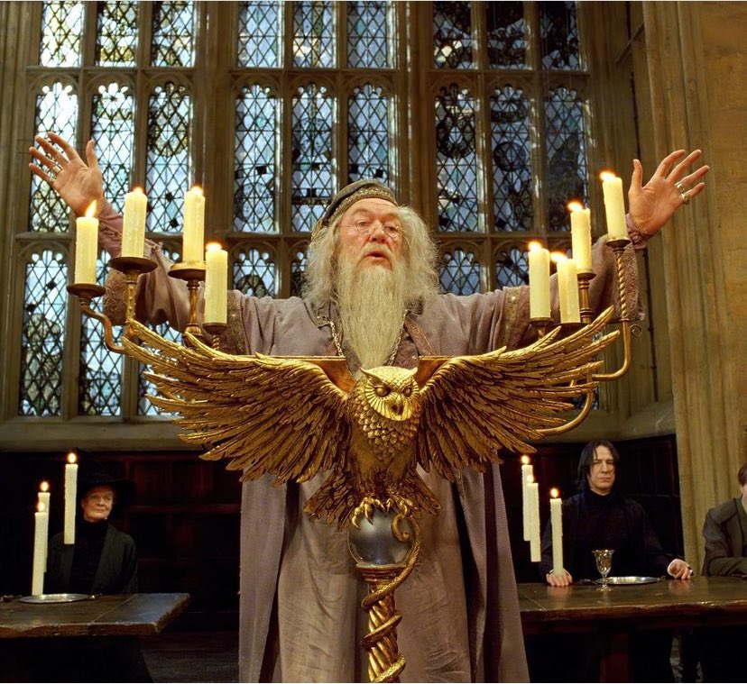 "Do not pity the dead, Harry. Pity the living and above all, those who live without love."

rip 🤍🕊️