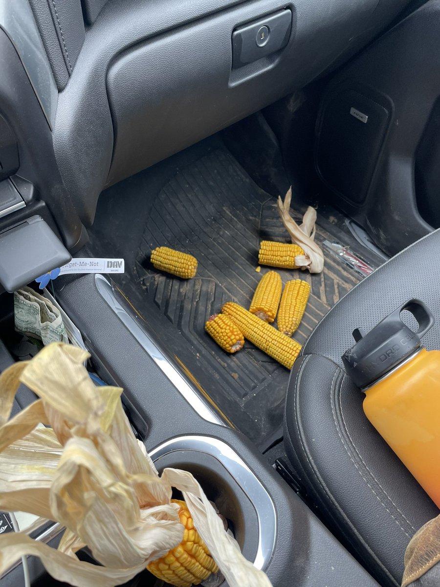 Been busy checking some fields.  Harvest here we come! 
Next week to black layer on some earlier varieties.