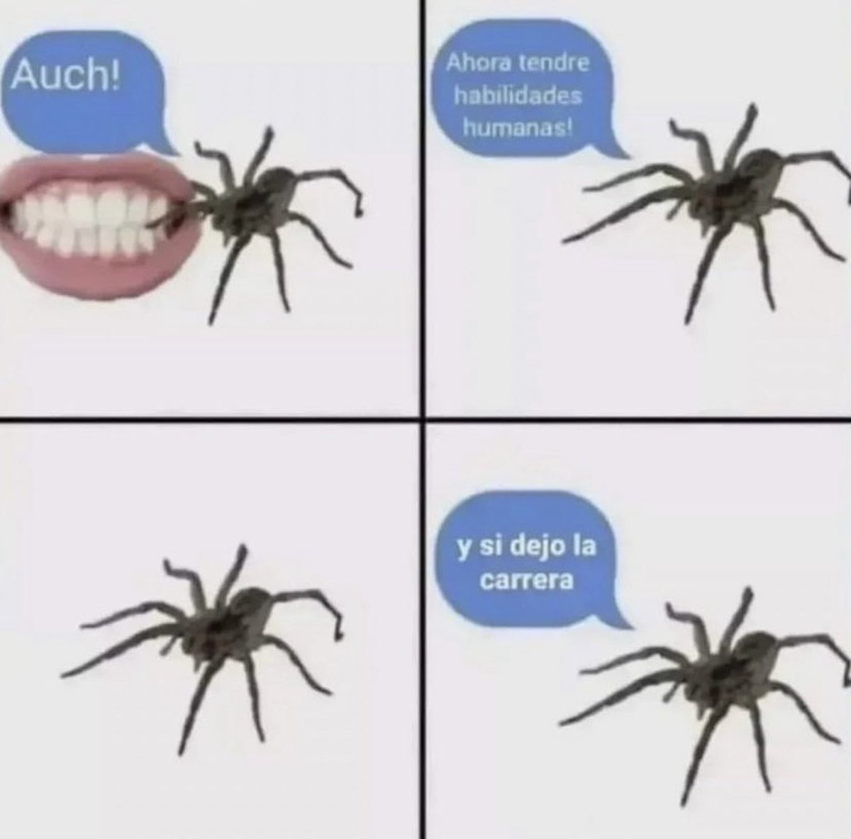 jezucrihto xd tweet media