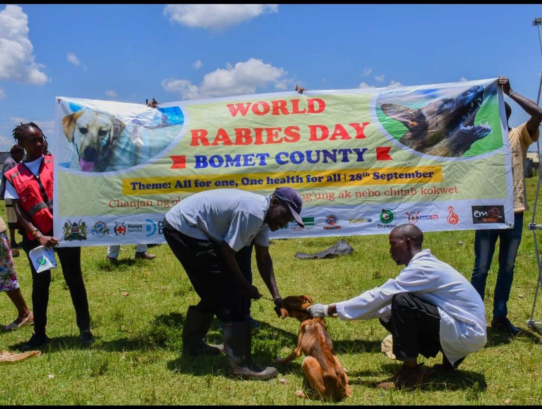 🐾 Today, the County Government of Bomet, marked #WorldRabiesDay at Club 181 Stadium in Sotik Sub County. The theme: 'All for 1, One Health for All.' Let's dive into the highlights of this important event! 🌍🐶 #RabiesPrevention