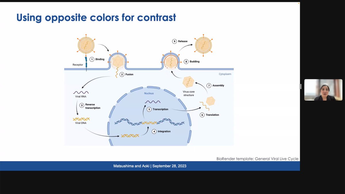 @BioRender provide terrific tips today in the webinar, one of my favorite: Using opposite colors for contrast. This figure is clear, and 'beauty', contrasting a pathogen and host dynamic.