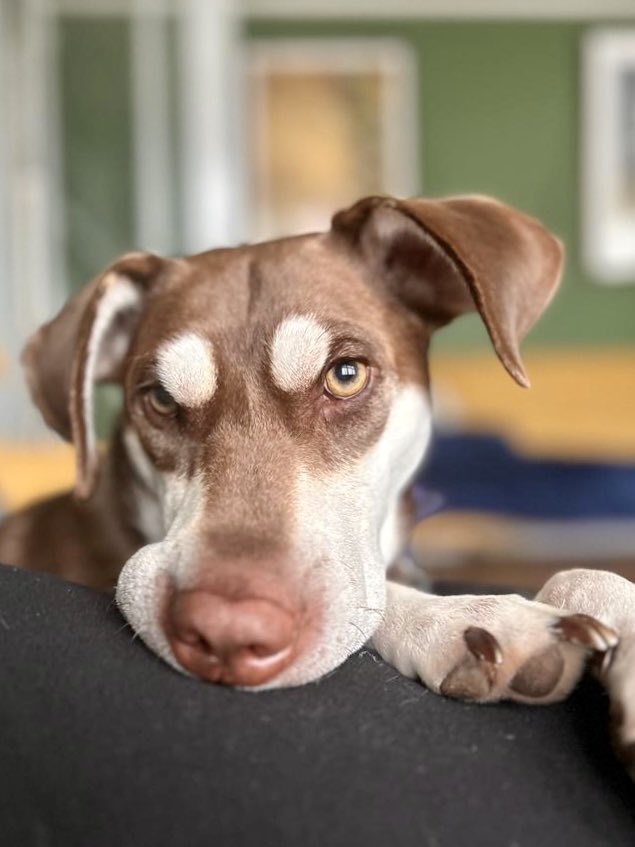 SmythMrNFT | 1299100.eth tweet media