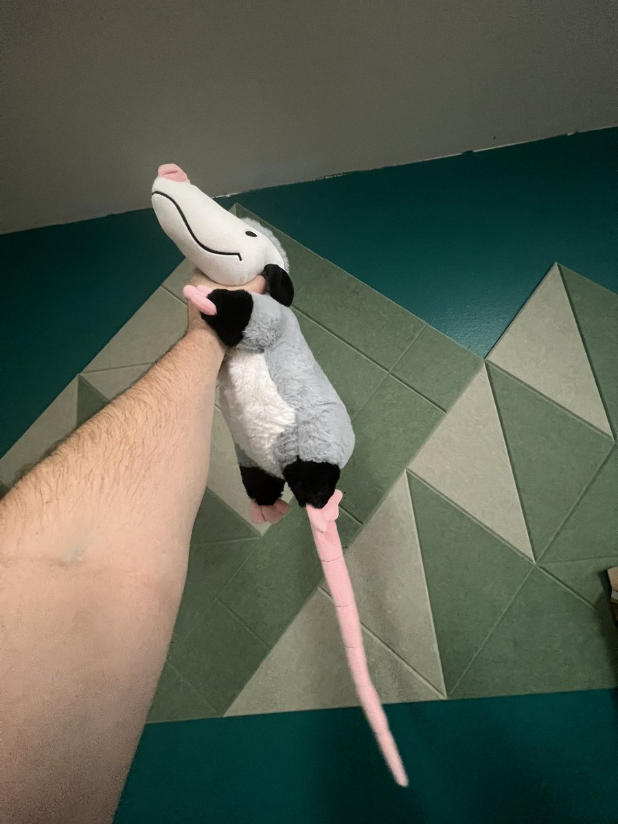 Weighted Opossum is here and he is currently being lightly interrogated for his crimes.