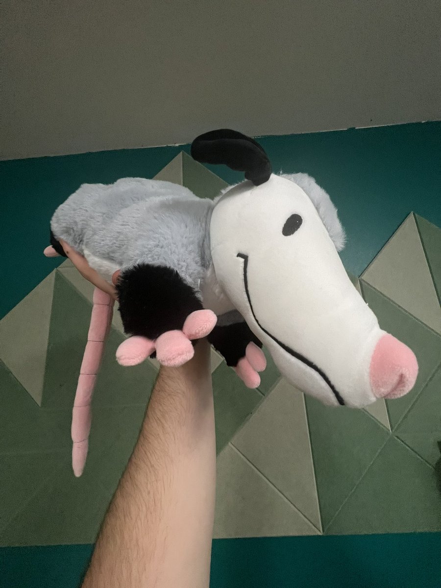 RoaminBison's tweet photo. Weighted Opossum is here and he is currently being lightly interrogated for his crimes. https://t.co/nP0NFtcTi1