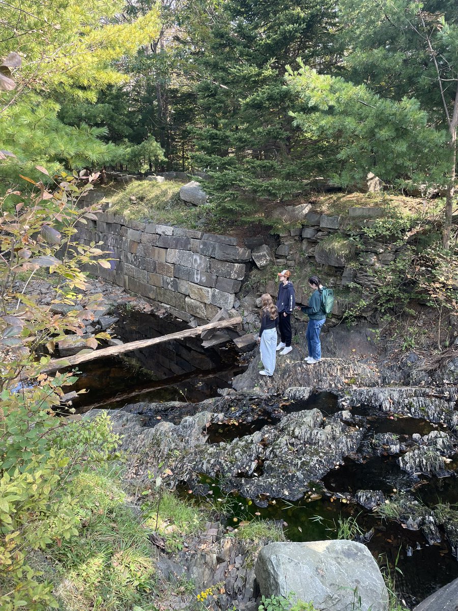 HennesseyMrs's tweet image. Oceans 11 students @lockviewhigh were out studying at Lock 4 this afternoon. So many beautiful things to study! @HRCE_NS #placebasedlearning