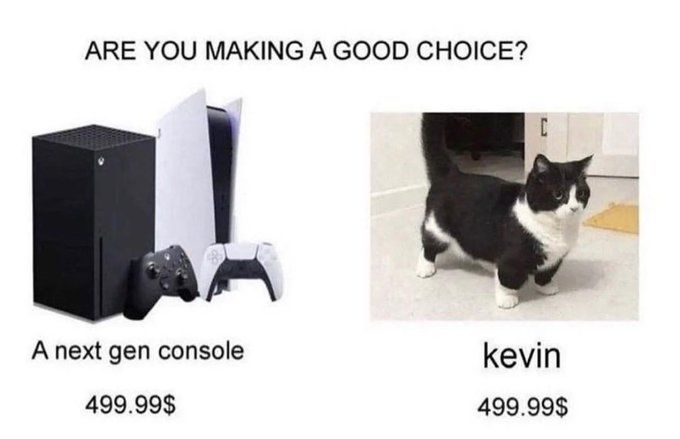 Why you should have a cat (@shouldhavecat) on Twitter photo 