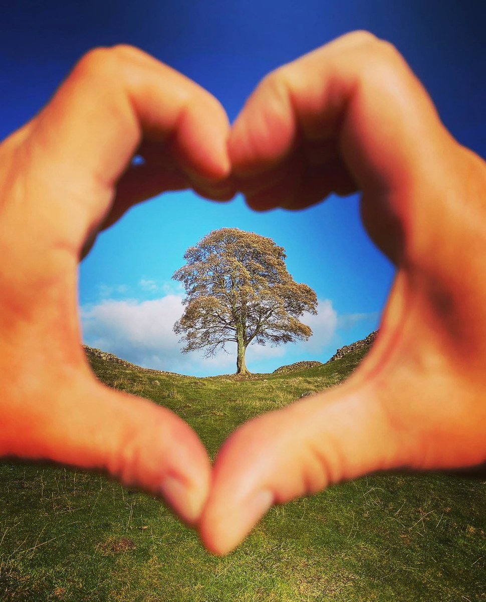 Andrea Smith tweet media