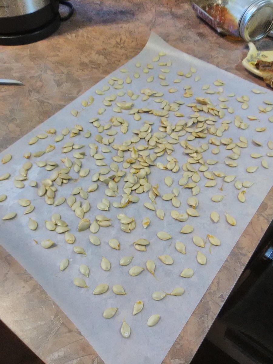 Piece work again.
Acorn squash.