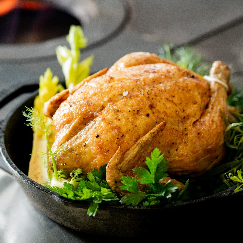 BC Food and Wine Radio (@bcfwradio) on Twitter photo NorthernBC #Kootenays: Tune in <a href="/11am/">11 am in morning</a> to your local #bounceradio - Chef @NedBell shares #BCTurkey tips! From choosing the right size to cooking it low and slow, he's got you covered. Plus, get ready for some tasty turkey leftover recipes. #Thanksgiving #BuyBC NorthernBC #Kootenays: Tune in <a href="/11am/">11 am in morning</a> to your local #bounceradio - Chef @NedBell shares #BCTurkey tips! From choosing the right size to cooking it low and slow, he's got you covered. Plus, get ready for some tasty turkey leftover recipes. #Thanksgiving #BuyBC