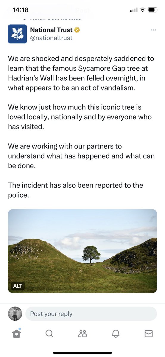 Prof. Sophie Hadfield-Hill (@hadfieldhill) on Twitter photo Like many Iβm shocked by this news.
Like many this tree was important to us as a family.
All day Iβve been thinking about our relationship with trees and how important this project is <a href="/CYPTreescapes/">Voices of the Future: Child & Youth Treescapes</a> - check out their work <a href="/ahrcpress/">Arts and Humanities Research Council</a> <a href="/ESRC/">Economic and Social Research Council</a> <a href="/peterkraftl/">Peter Kraftl</a> and colleagues Like many Iβm shocked by this news.
Like many this tree was important to us as a family.
All day Iβve been thinking about our relationship with trees and how important this project is <a href="/CYPTreescapes/">Voices of the Future: Child & Youth Treescapes</a> - check out their work <a href="/ahrcpress/">Arts and Humanities Research Council</a> <a href="/ESRC/">Economic and Social Research Council</a> <a href="/peterkraftl/">Peter Kraftl</a> and colleagues
