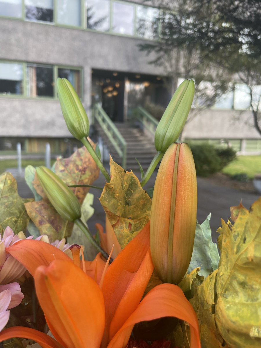 Síðasti vinnudagurinn á <a href="/Vedurstofan/">Veðurstofa Íslands / Icelandic Met Office</a> í dag. Takk fyrir mig.