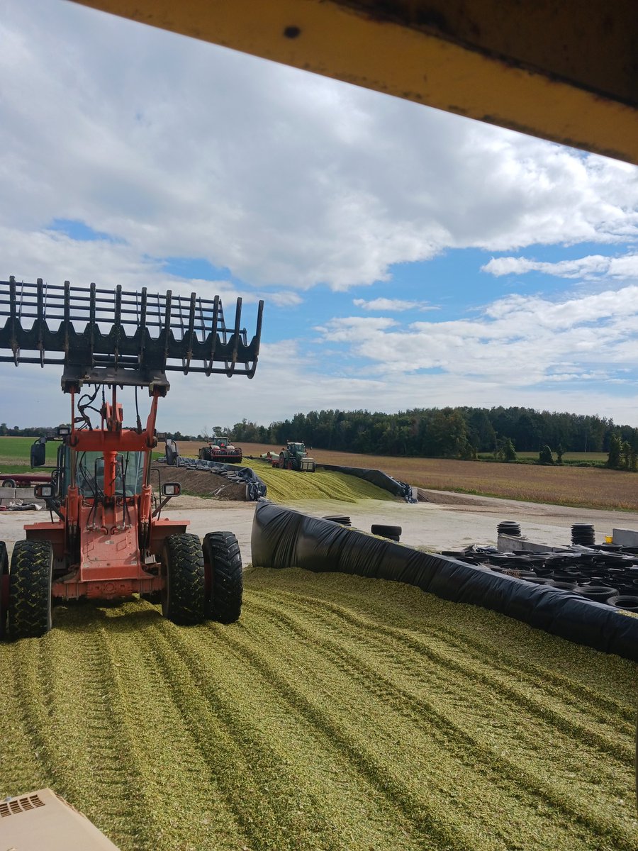 Stan ter Woerds tweet media