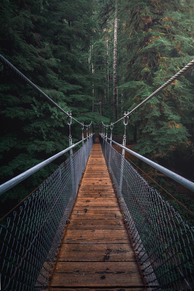 WorldFactWave's tweet photo. Das Leben ist wie eine Brücke 🌉, immer da, um uns zu neuen Ufern 🌅 zu tragen, wo neue Möglichkeiten 🌟 und Abenteuer 🚀 auf uns warten! #LebenIstSchön #Brückenbau https://t.co/bMZBpzsdtz