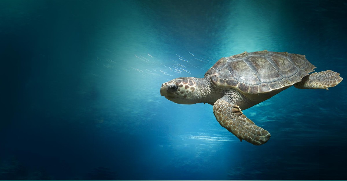 Connect_Secure_'s tweet photo. Dive into ConnectSecure's journey! Explore our story and discover the passion and expertise that drive us to protect your digital world. Get to know us better: https://t.co/Cmi0YTNq6A 

#OurStory #Cybersecurity #ConnectSecure https://t.co/raVVW42MsT