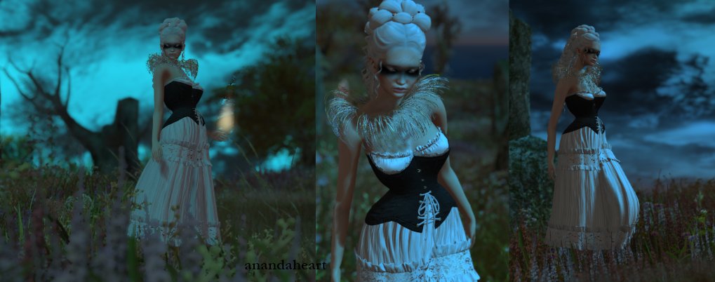 AnandaheartBlog's tweet image. christa108.wordpress.com/2023/09/28/fot… #Zibska #Toksik #NoMatch